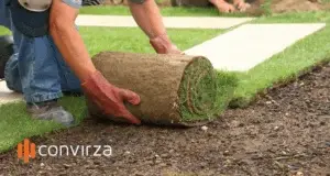 Lawn Equipment